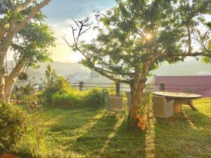 The scene at Sunny homestay Da Lat