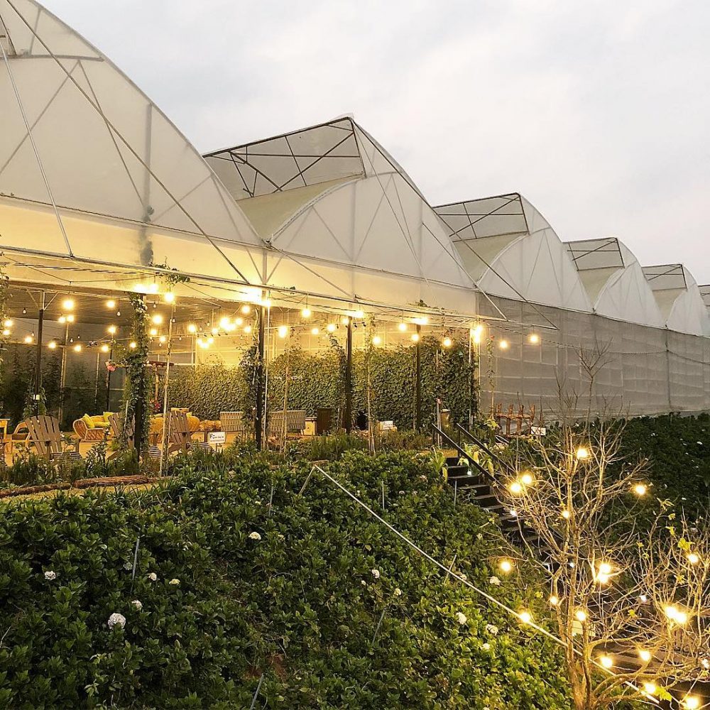 The cafe view the flower forest