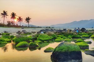 Famous beaches in Da Nang