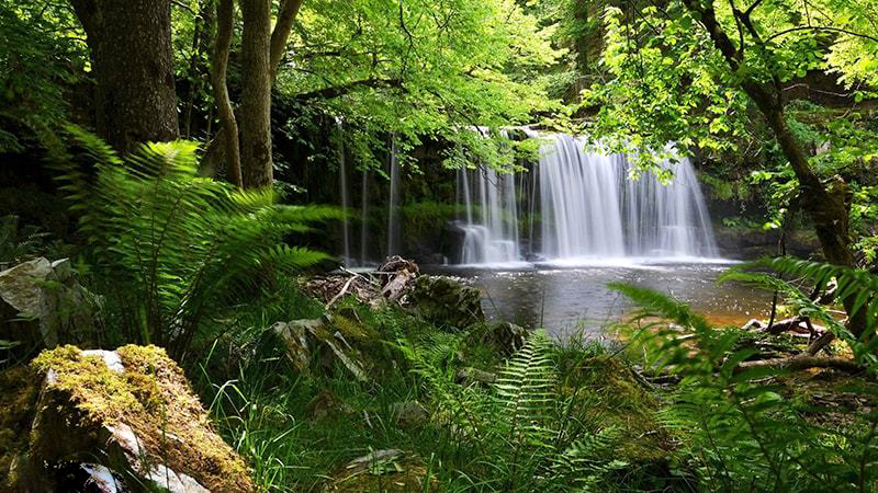 Bathing streams in Phu Quoc National Park