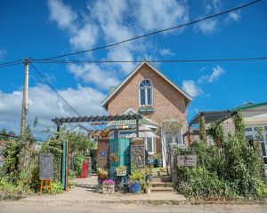 Jardin House - kinh nghiệm du lịch đà lạt tháng 11