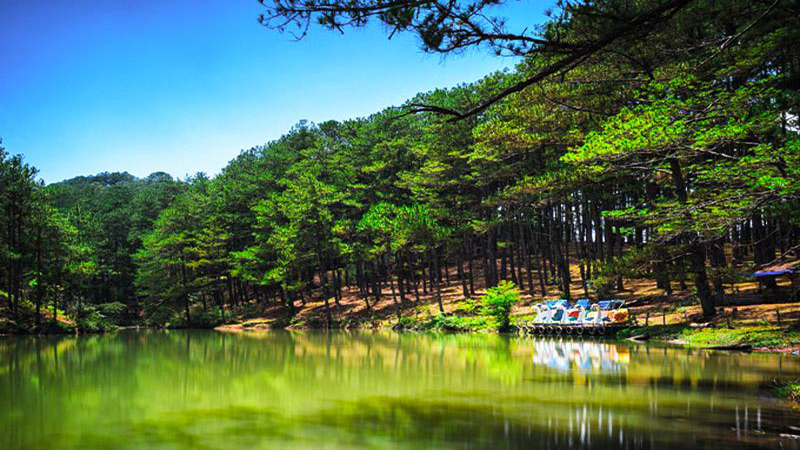 Dalat golden valley