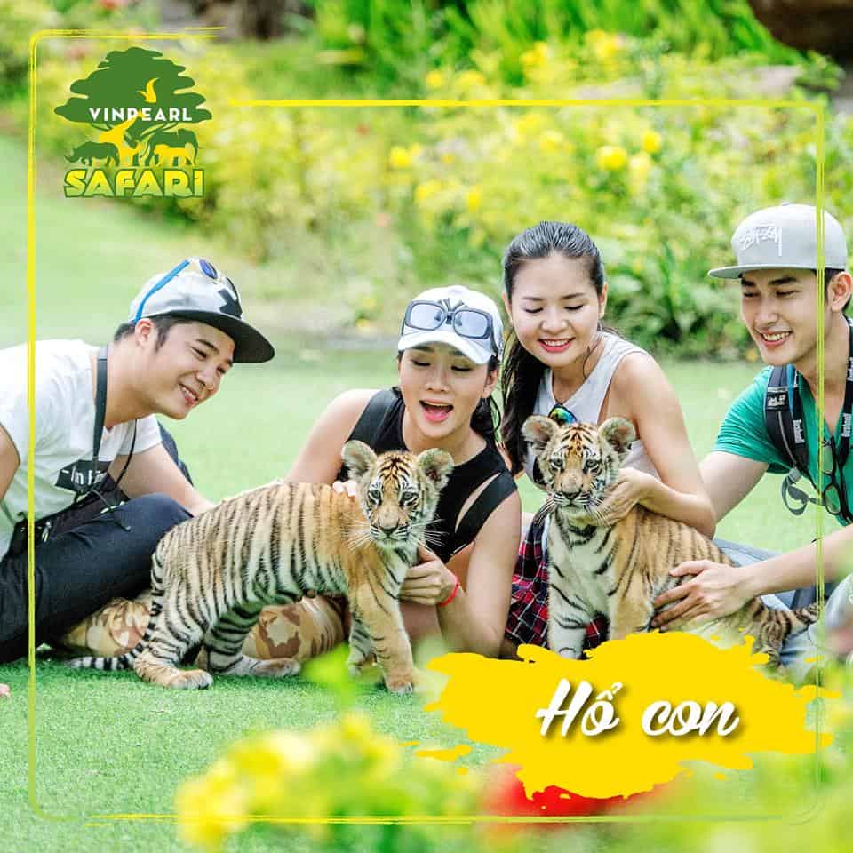 Vinpearl Safari Phú Quốc - vườn thú bán hoang dã đầu tiên tại Việt Nam