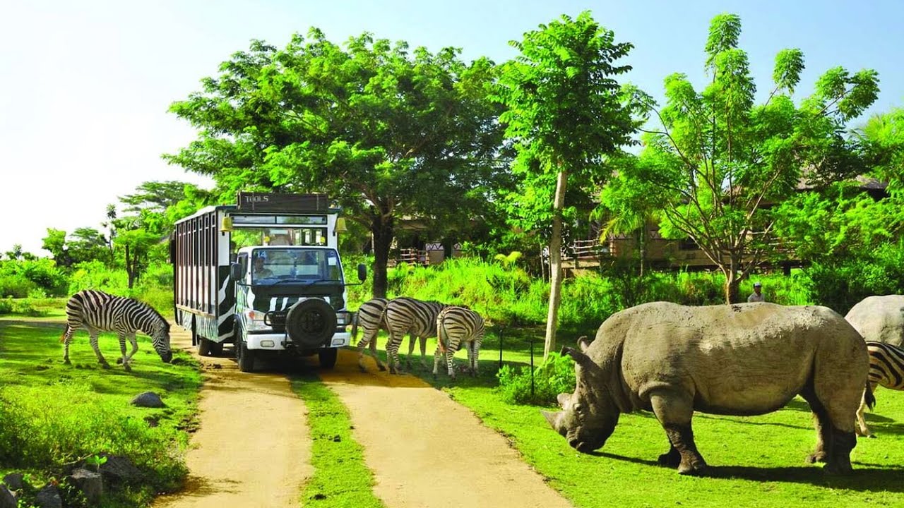 Phu Quoc safari experience