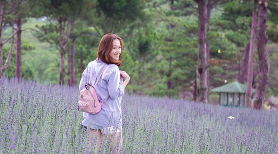 Lavender garden in the valley of love