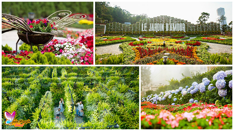 Flower Garden at Ba Na Hills Mountain Resort, Da Nang, Vie…