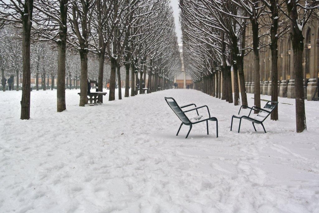 Ngắm nhìn vẻ đẹp lãng mạn của mùa đông Paris