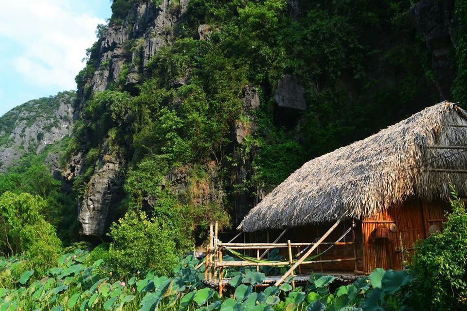 top homestay Ninh Binh 