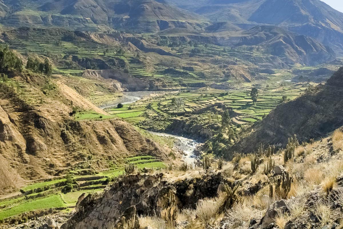 Kinh nghiệm du lịch Peru từ A đến Z chi tiết nhất
