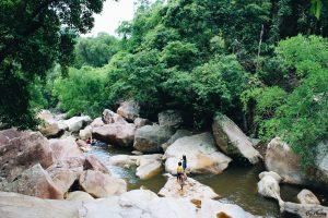 three lakes streams