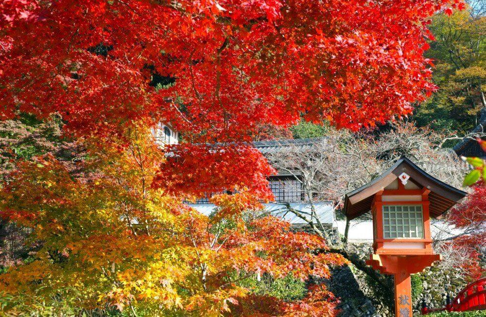 mùa thu tại Nhật Bản