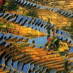 Ruộng bậc thang Hani Hồng Hà – Trung Quốc