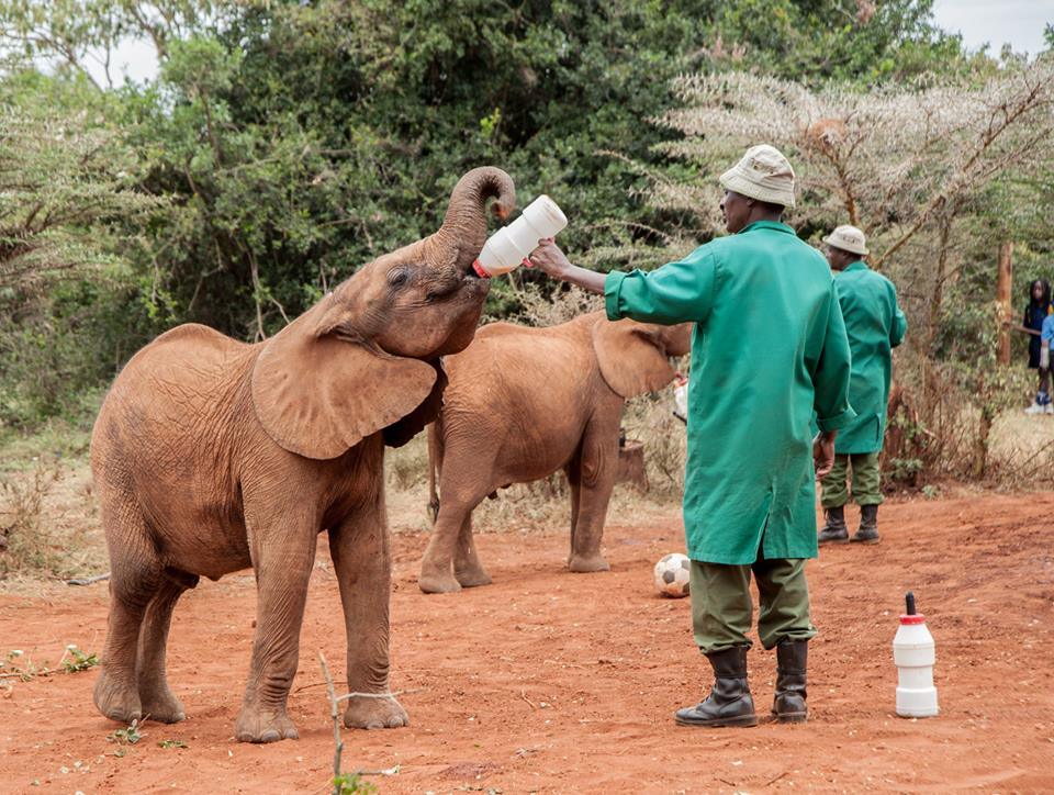 5 điểm ngắm động vật hoang dã tuyệt nhất ở Kenya