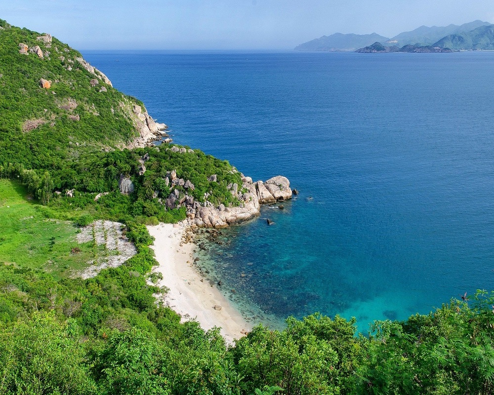 Suggestions for relaxation in Cam Ranh during the Lunar New Year