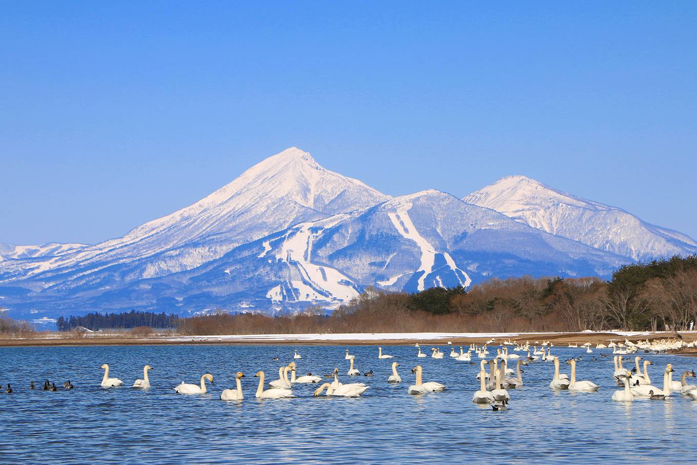 Top 5 điểm đến Nhật Bản vào mùa đông - FOCUS ASIA TRAVEL