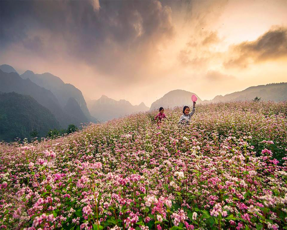 Khám Phá Du Lịch Hà Giang Mùa Nào đẹp Nhất Với Góc Nhìn Từ Trên Cao 4500