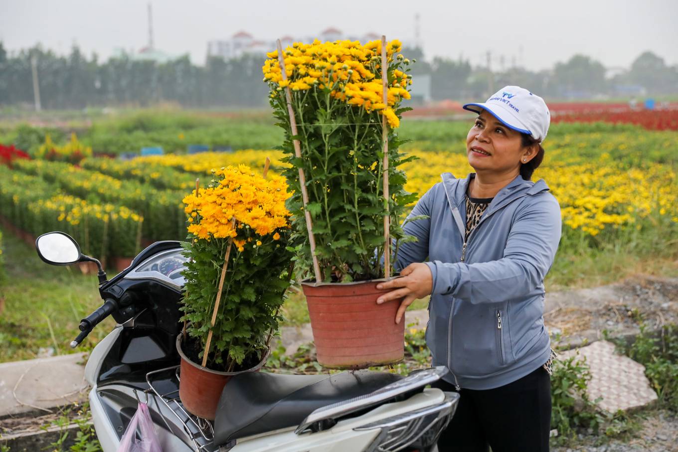 Làng hoa lớn nhất Sài Gòn đua nhau khoe sắc rực rỡ dịp xuân Canh Tý 