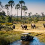 Lịch trình 17 ngày du lịch khám phá Zimbabwe – Kenya – Tanzania