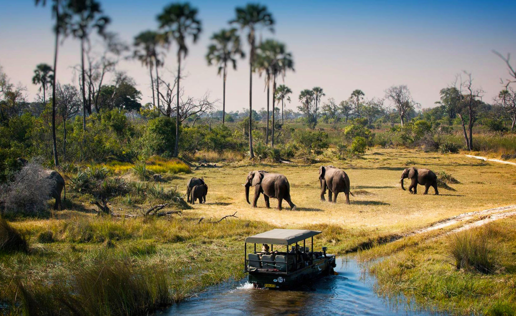 Lịch trình 17 ngày du lịch khám phá Zimbabwe – Kenya – Tanzania - FOCUS ...