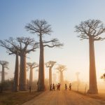 15 Trải nghiệm du lịch châu Phi thú vị độc đáo
