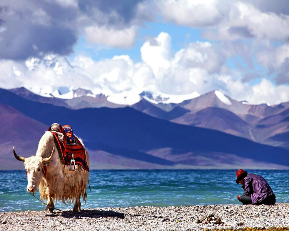 địa điểm du lịch Tây Tạng