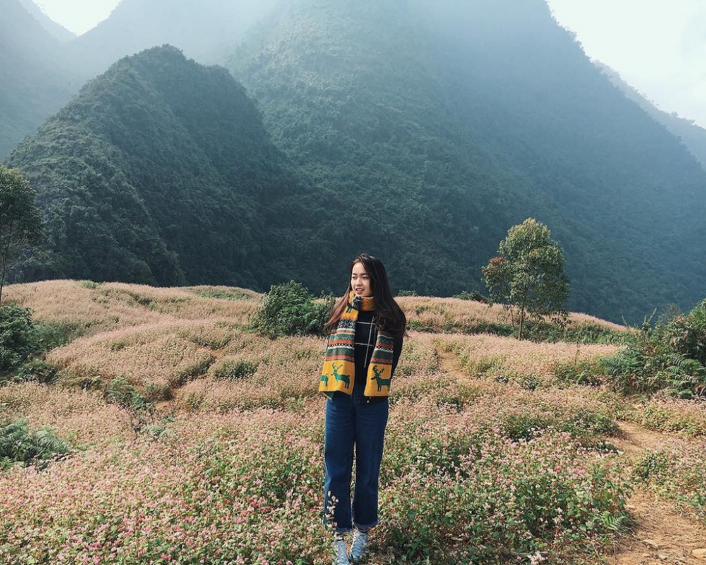 Discover the symbolic triangular flower of Ha Giang