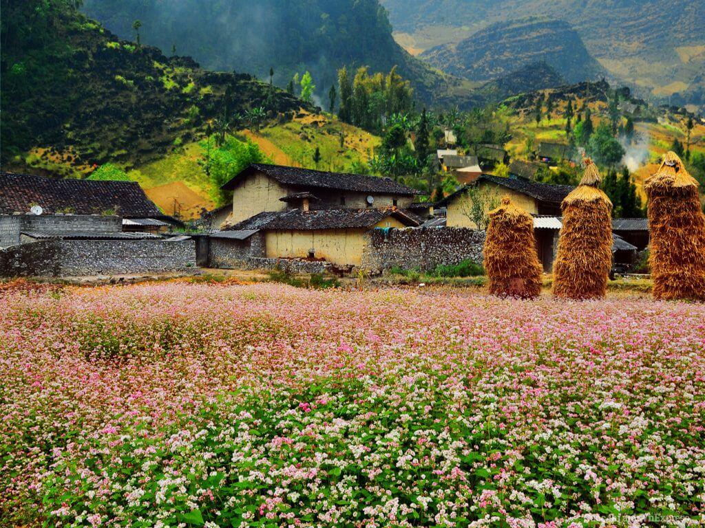 6 Ha Giang tourist sites you should not miss