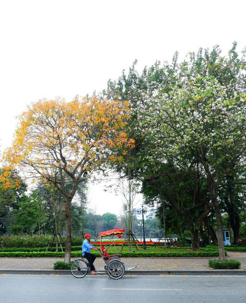 Hanoi is quiet and beautiful in mid-March