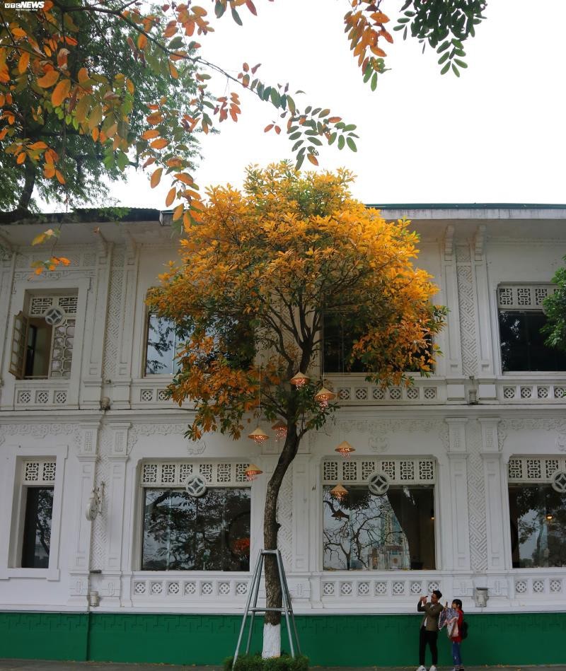 Hanoi is quiet and beautiful in mid-March