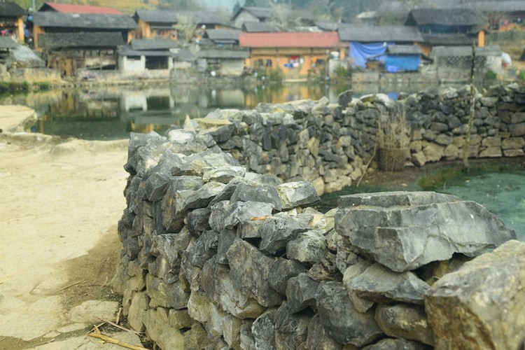 Enjoying springtime on Pho Tru, Ha Giang