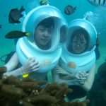 Mách bạn kinh nghiệm lặn biển ở Nha Trang