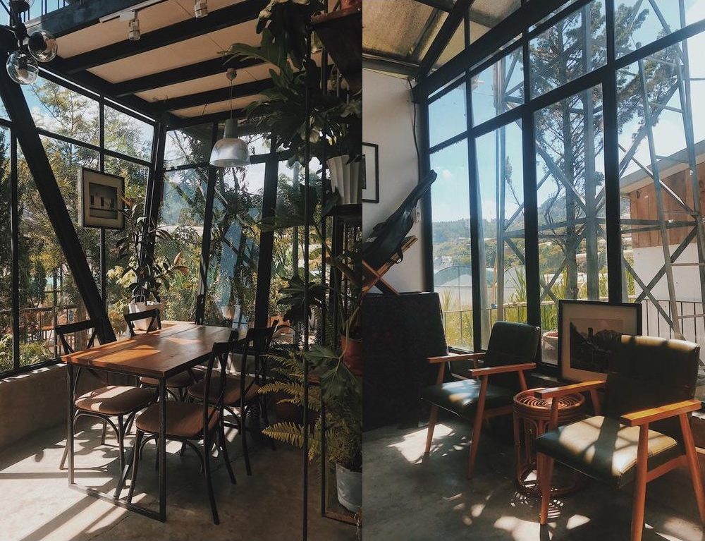 The coffee shop in Lalaland is cozy, filled with sunlight and lots of trees