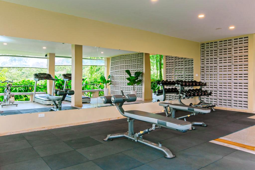 Phòng Gym của Lahana với không gian mở và tràn ngập màu xanh