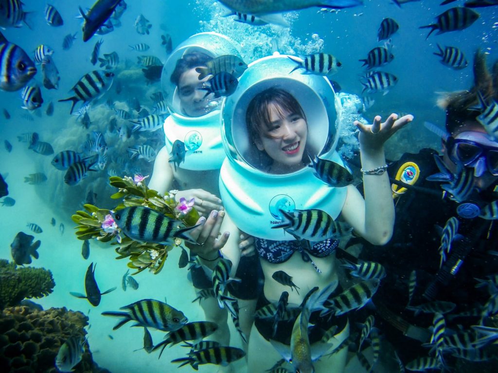 Chiêm ngưỡng thế giới dưới nước với tour lặn biển