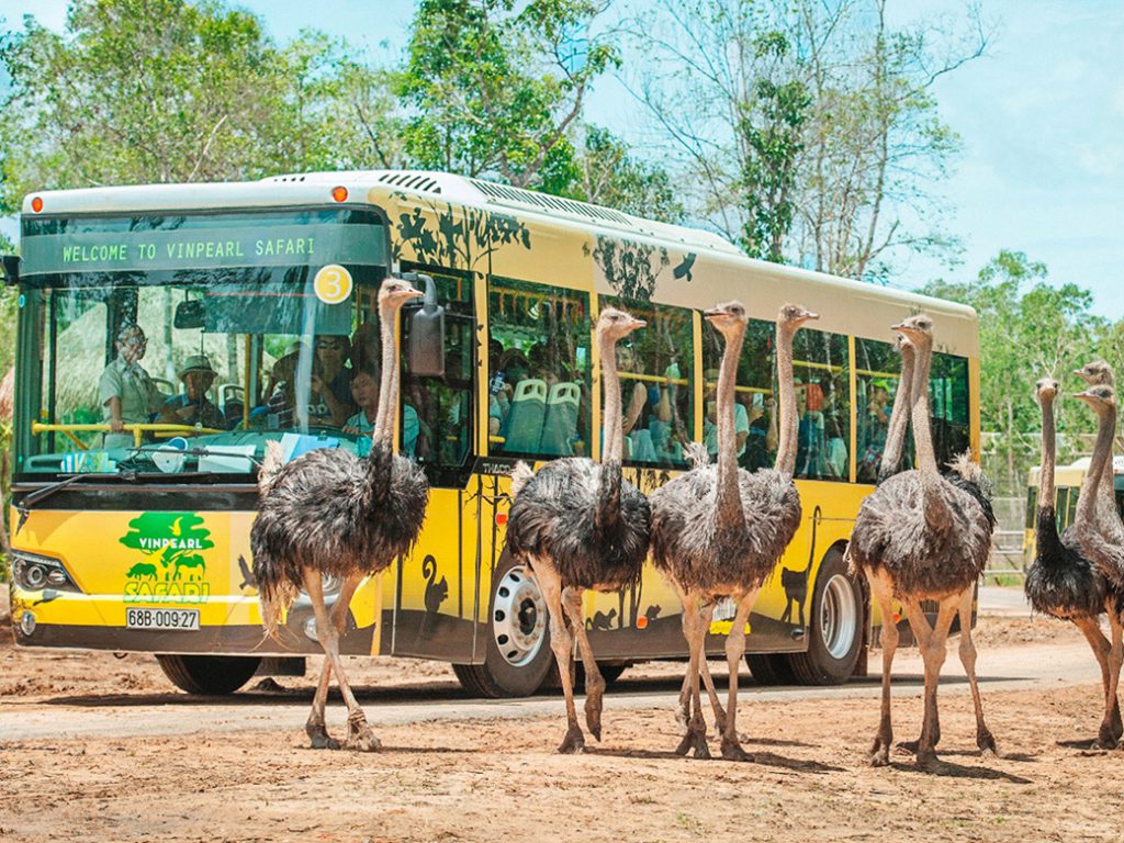 Hòa mình cùng thiên nhiên với vườn thú bán hoang dã đầu tiên tại Việt Nam
