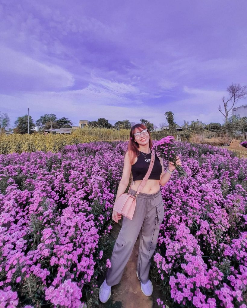 If you fall in love with the Lavender purple color in faraway France but have never been to this place once, please visit this place.