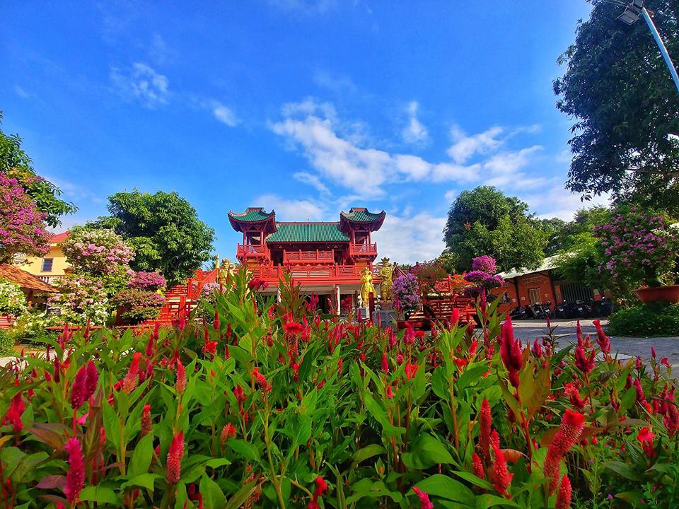 Khuân viên chùa với rất nhiều cây và các loại hoa