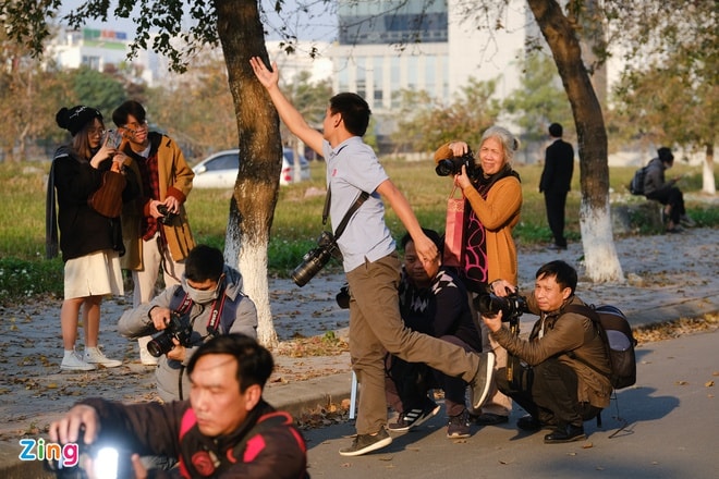 Hàng trăm người đổ tới con đường lá phong đỏ để checkin