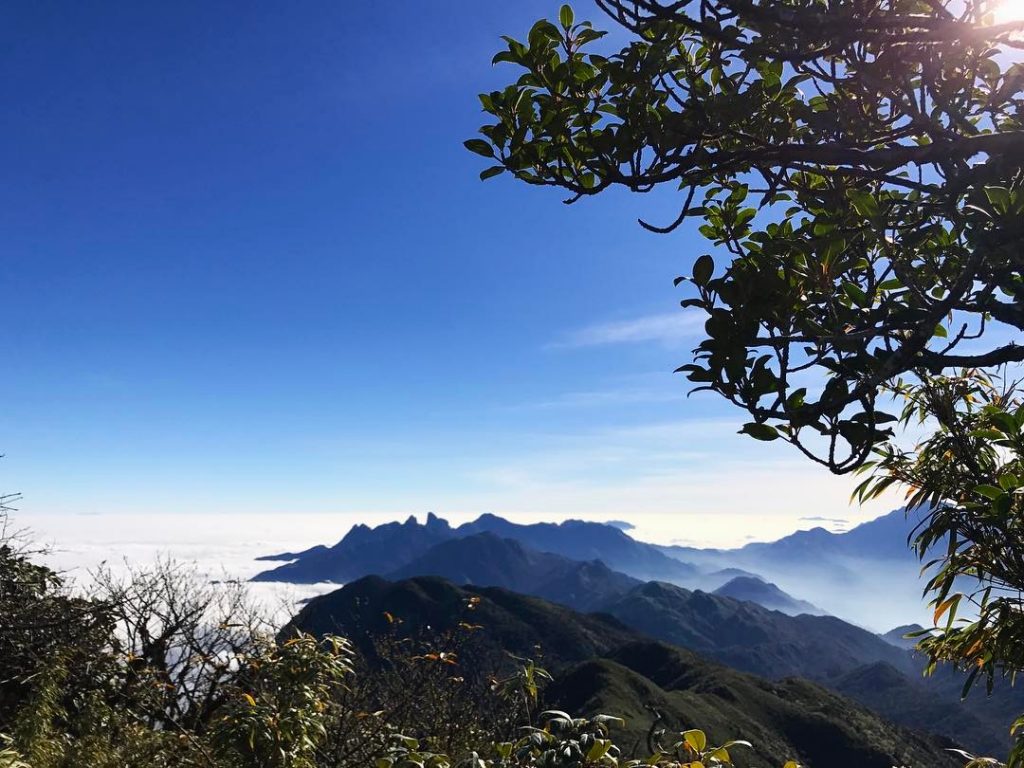 Để trekking Pu Ta Leng, bạn phải đi theo tour hoặc tự xin giấy phép