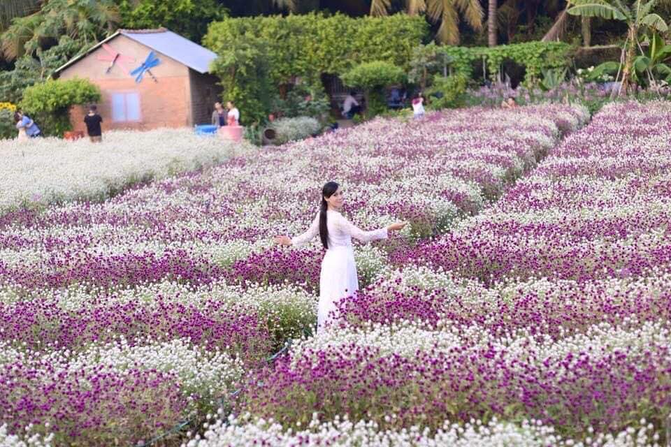 Man Dinh Hong is the largest flower garden in Tien Giang province with a total area of ​​1.1ha