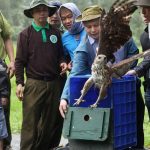 Tìm hiểu tour du lịch thả động vật về rừng có 1 – 0 – 2 tại rừng Cúc Phương