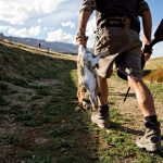 Tranh luận gây gắt về sự kiện truy sát thỏ tại New Zealand