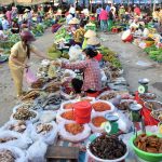 Có gì thú vị tại chợ chồm hổm nông sản Vị Thanh – Hậu Giang