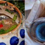 Khám phá món mắt cá ngừ đại dương – đặc sản không thể bỏ qua khi đến Phú Yên