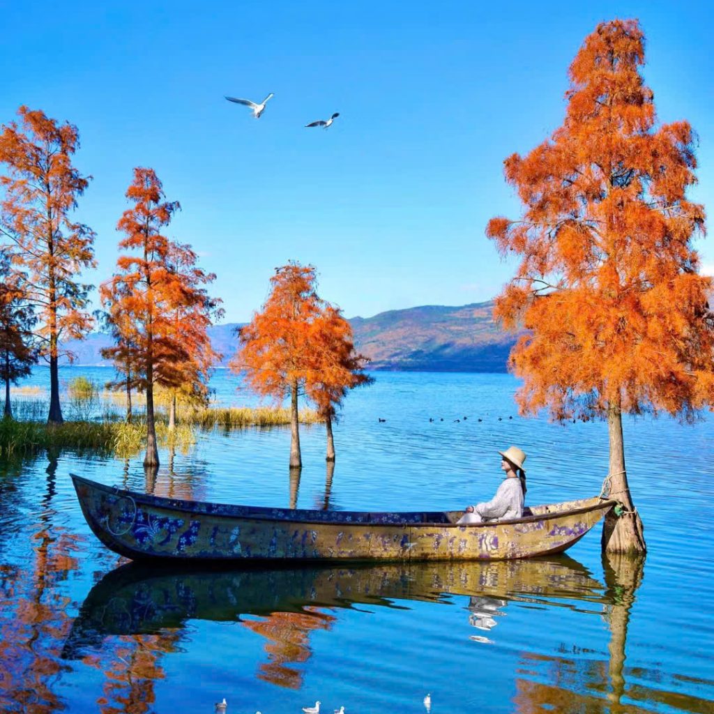 TOUR TP.HCM - CÔN MINH - ĐẠI LÝ - LỆ GIANG - SHANGRILA (6N5Đ) - Ảnh 14