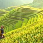 Khách quốc tế đến Việt Nam quý I tăng 72%