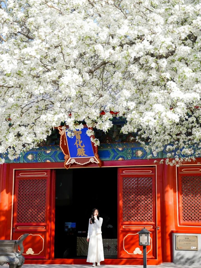 BẮC KINH MONO 5N4Đ - NO SHOPPING 2026