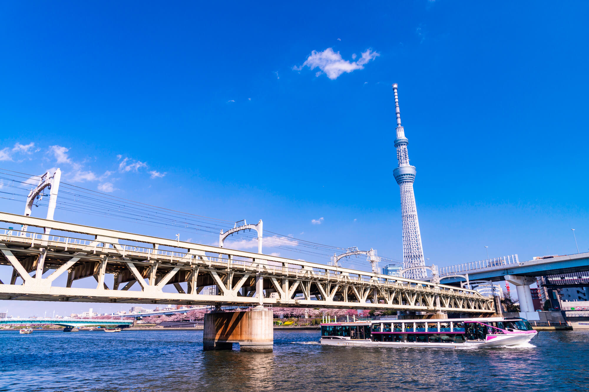 TOUR NHẬT BẢN HÈ 2026 HÀ NỘI - NARA - OSAKA - KYOTO - TOKYO - Ảnh 13