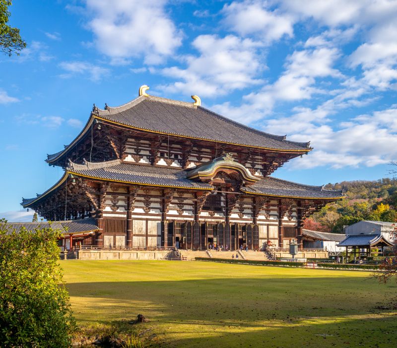 TOUR NHẬT BẢN HÈ 2026 HÀ NỘI - NARA - OSAKA - KYOTO - TOKYO - Ảnh 6