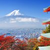 TOUR HÈ 2025 - CUNG ĐƯỜNG VÀNG NHẬT BẢN: HÀ NỘI – OSAKA –  KYOTO – NAGOYA - TOKYO 6N5Đ - Hình ảnh 15
